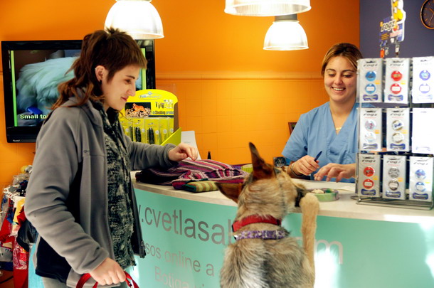 Centro veterinario La Salut Barcelona especialistas esterilizaciones perros y gatos