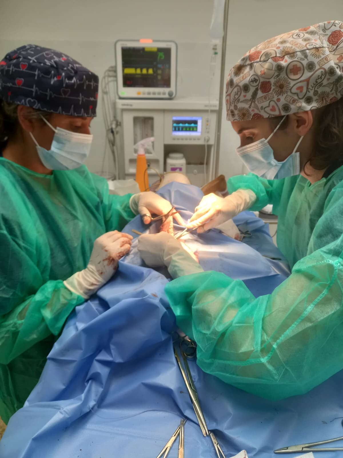Equip veterinari al quiròfan